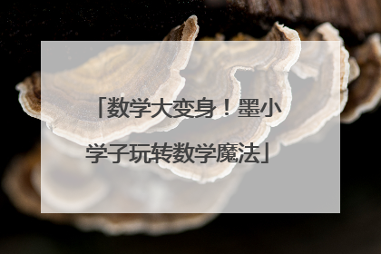 数学大变身！墨小学子玩转数学魔法