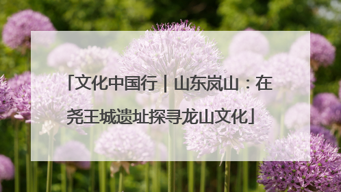 文化中国行｜山东岚山：在尧王城遗址探寻龙山文化