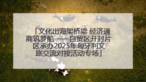 文化出海架桥梁 经济通商筑梦船——自贸区开封片区承办2025年匈牙利文旅交流对接活动专场