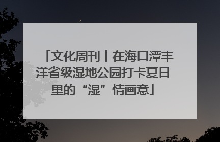 文化周刊丨在海口潭丰洋省级湿地公园打卡夏日里的“湿”情画意