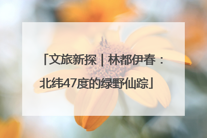 文旅新探｜林都伊春：北纬47度的绿野仙踪