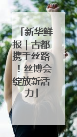 新华鲜报｜古都携手丝路！丝博会绽放新活力