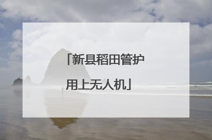 新县稻田管护用上无人机