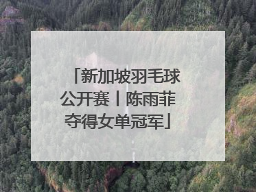 新加坡羽毛球公开赛丨陈雨菲夺得女单冠军