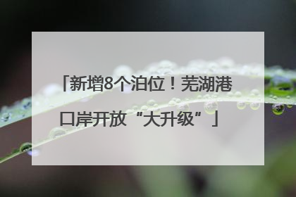 新增8个泊位！芜湖港口岸开放“大升级”
