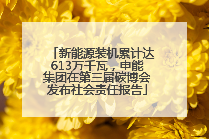 新能源装机累计达613万千瓦，申能集团在第三届碳博会发布社会责任报告