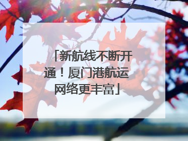 新航线不断开通！厦门港航运网络更丰富