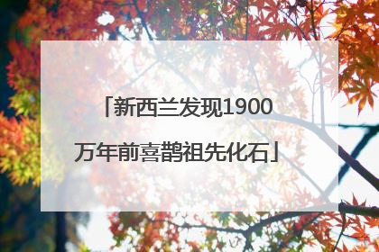 新西兰发现1900万年前喜鹊祖先化石