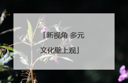 新视角 多元文化壁上观
