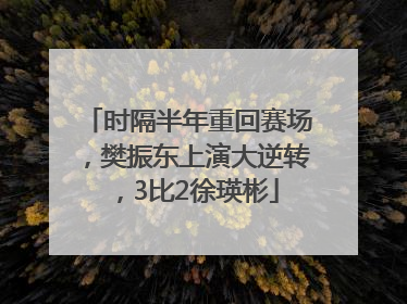 时隔半年重回赛场，樊振东上演大逆转，3比2徐瑛彬