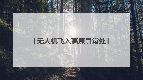 无人机飞入高原寻常处