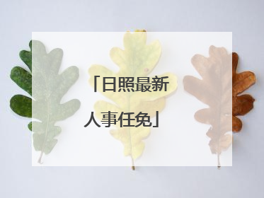 日照最新人事任免