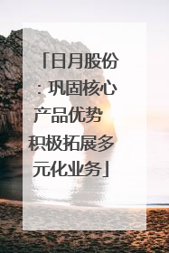 日月股份：巩固核心产品优势 积极拓展多元化业务