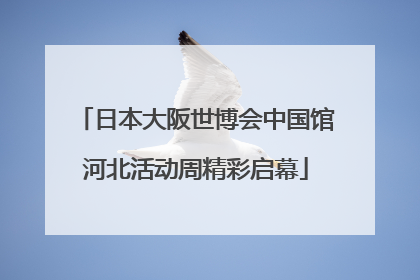 日本大阪世博会中国馆河北活动周精彩启幕