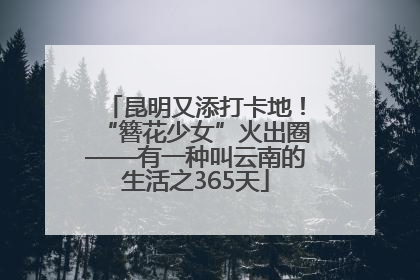 昆明又添打卡地！“簪花少女”火出圈——有一种叫云南的生活之365天