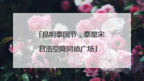 昆明泰国节，泰星宋君浩空降同德广场