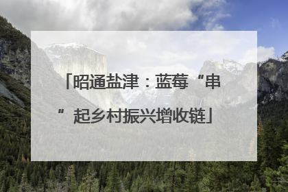 昭通盐津：蓝莓“串”起乡村振兴增收链
