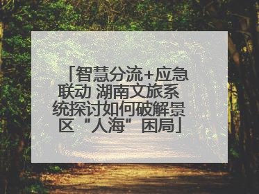 智慧分流+应急联动 湖南文旅系统探讨如何破解景区“人海”困局