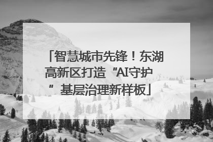 智慧城市先锋！东湖高新区打造“AI守护”基层治理新样板