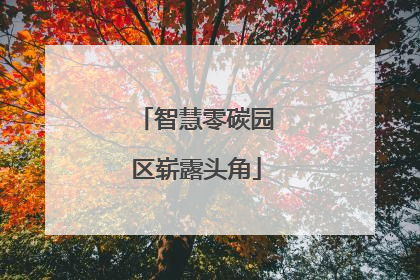 智慧零碳园区崭露头角