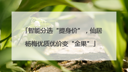 智能分选“提身价”，仙居杨梅优质优价变“金果”