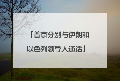普京分别与伊朗和以色列领导人通话