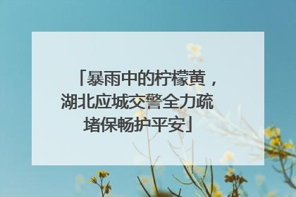 暴雨中的柠檬黄，湖北应城交警全力疏堵保畅护平安