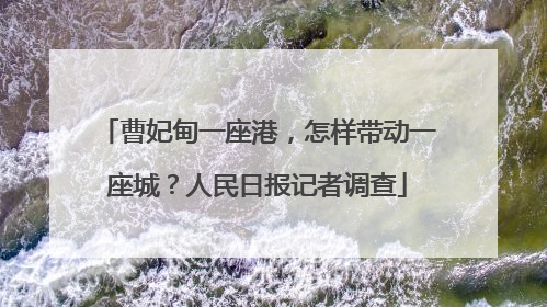 曹妃甸一座港，怎样带动一座城？人民日报记者调查