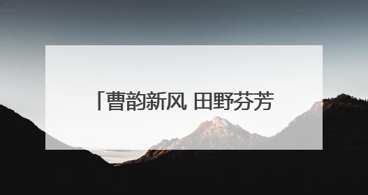 曹韵新风 田野芬芳 菏泽曹县2025年乡村歌唱大赛（东部赛区复赛）举办