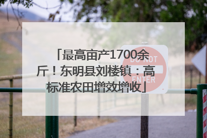 最高亩产1700余斤！东明县刘楼镇：高标准农田增效增收