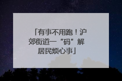 有事不用跑！沪郊街道一“码”解居民烦心事