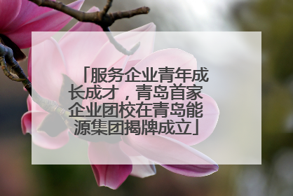 服务企业青年成长成才，青岛首家企业团校在青岛能源集团揭牌成立