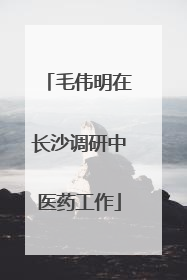 毛伟明在长沙调研中医药工作