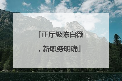 正厅级陈白薇，新职务明确