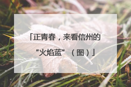 正青春，来看信州的“火焰蓝”（图）