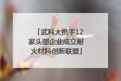 武科大携手12家头部企业成立耐火材料创新联盟