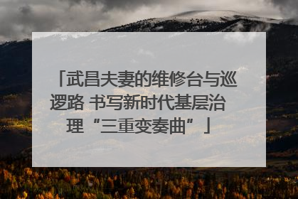 武昌夫妻的维修台与巡逻路 书写新时代基层治理“三重变奏曲”