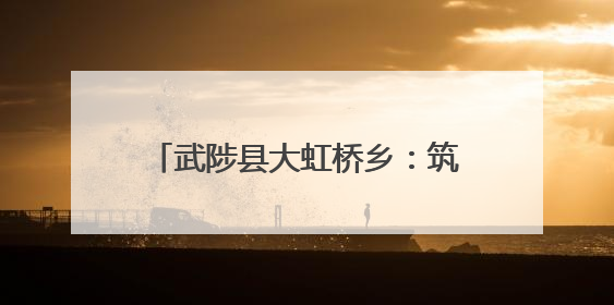 武陟县大虹桥乡：筑牢禁烧“防火墙” 守护夏粮好“丰”景