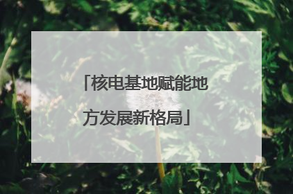核电基地赋能地方发展新格局