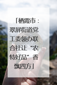 栖霞市：翠屏街道党工委领办联合社让“农特好品”香飘四方