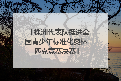 株洲代表队挺进全国青少年标准化奥林匹克竞赛决赛
