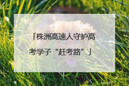 株洲高速人守护高考学子“赶考路”