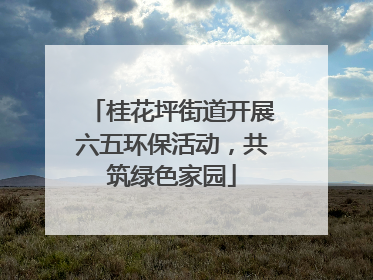 桂花坪街道开展六五环保活动，共筑绿色家园