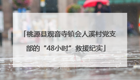 桃源县观音寺镇会人溪村党支部的“48小时”救援纪实