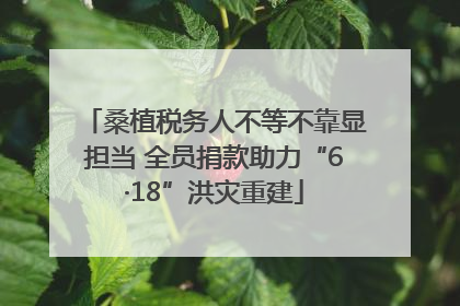 桑植税务人不等不靠显担当 全员捐款助力“6·18”洪灾重建