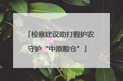 检察建议助打假护农守护“中原粮仓”