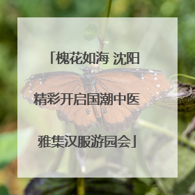 槐花如海 沈阳精彩开启国潮中医雅集汉服游园会