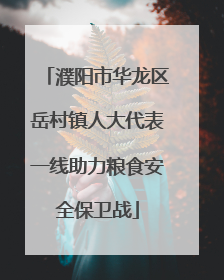 濮阳市华龙区岳村镇人大代表一线助力粮食安全保卫战
