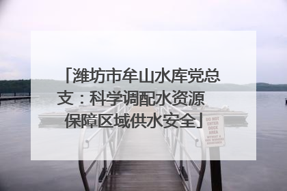 潍坊市牟山水库党总支：科学调配水资源 保障区域供水安全