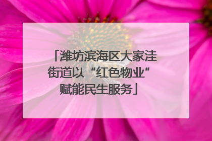 潍坊滨海区大家洼街道以“红色物业”赋能民生服务